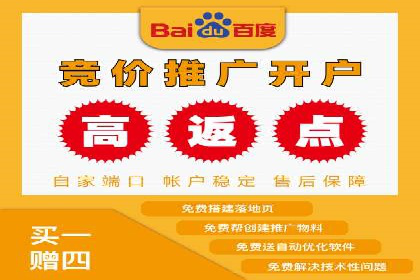 行业领先企业的SEM运营策略案例解析